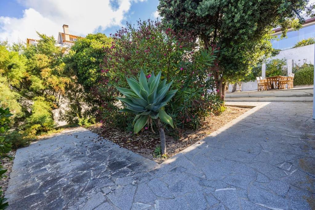 Challet Ericeira Villa Exterior foto