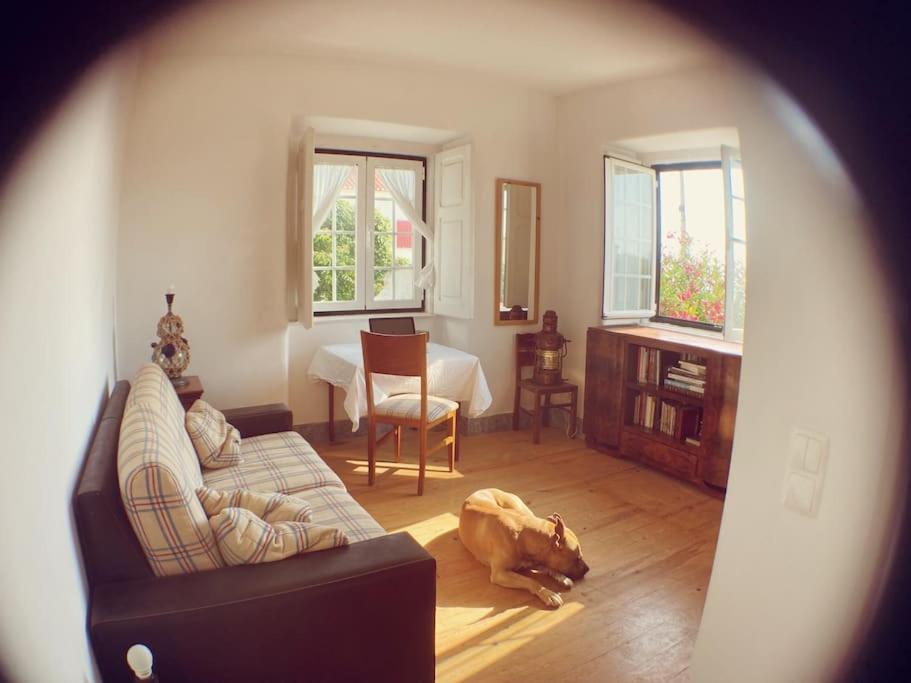 Challet Ericeira Villa Exterior foto