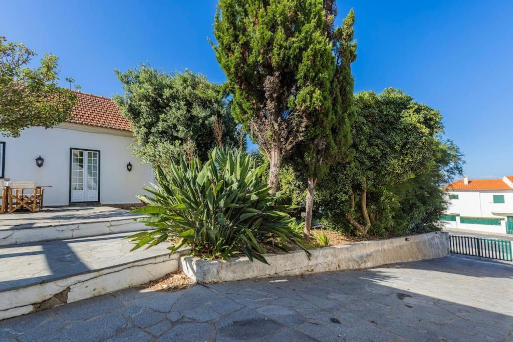 Challet Ericeira Villa Exterior foto